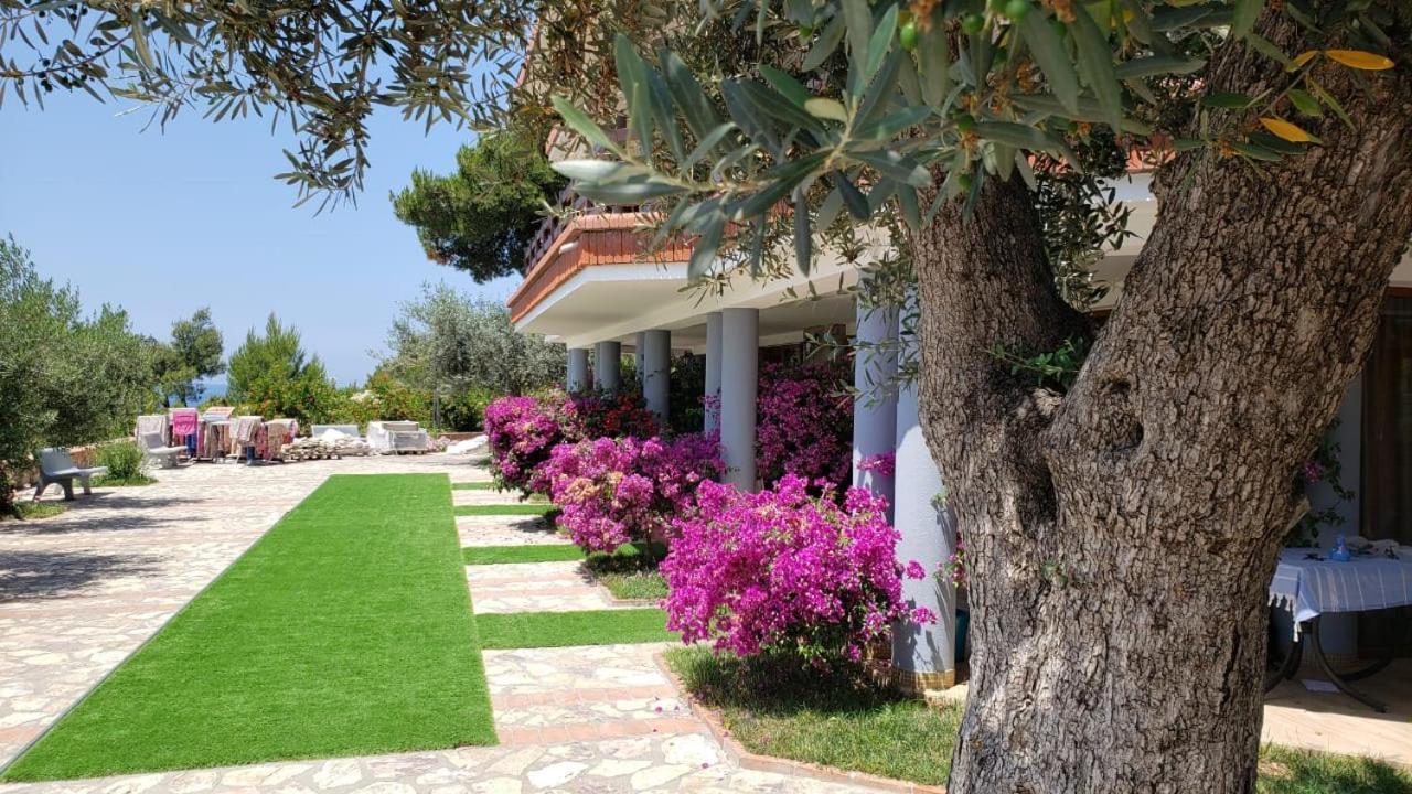 Hotel Brifs Shëngjin 外观 照片
