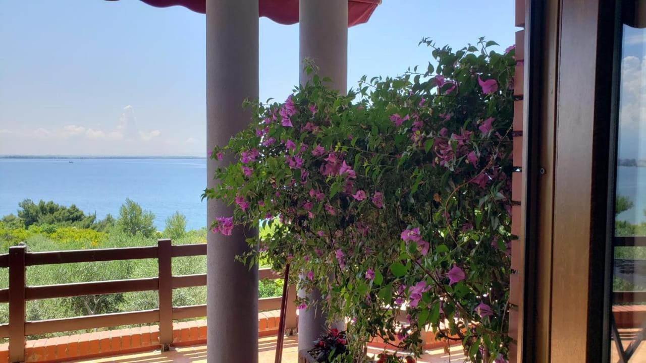 Hotel Brifs Shëngjin 外观 照片