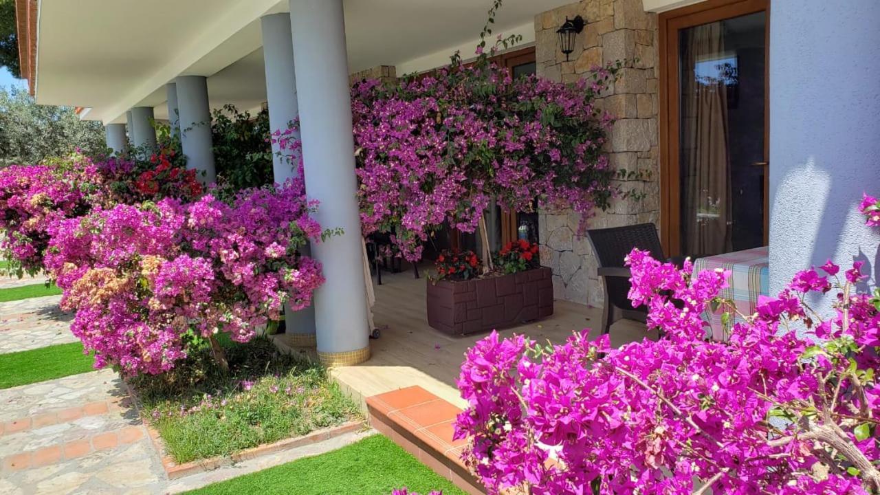 Hotel Brifs Shëngjin 外观 照片