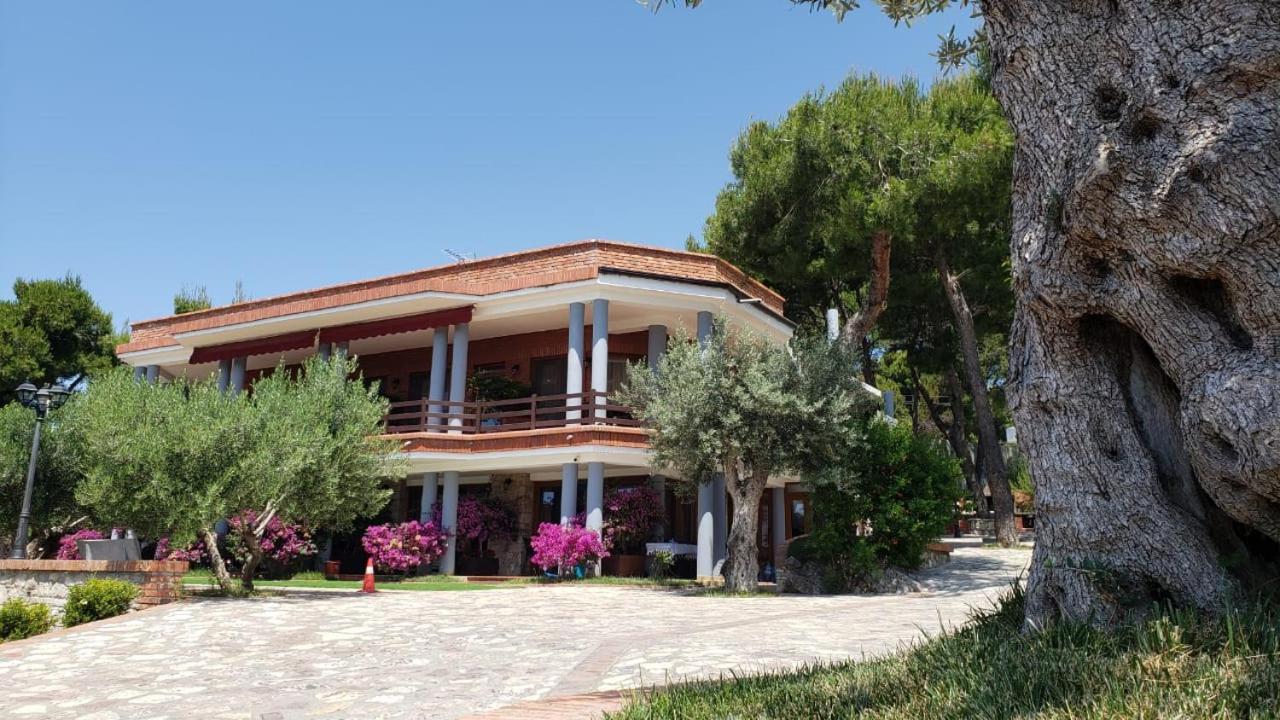 Hotel Brifs Shëngjin 外观 照片