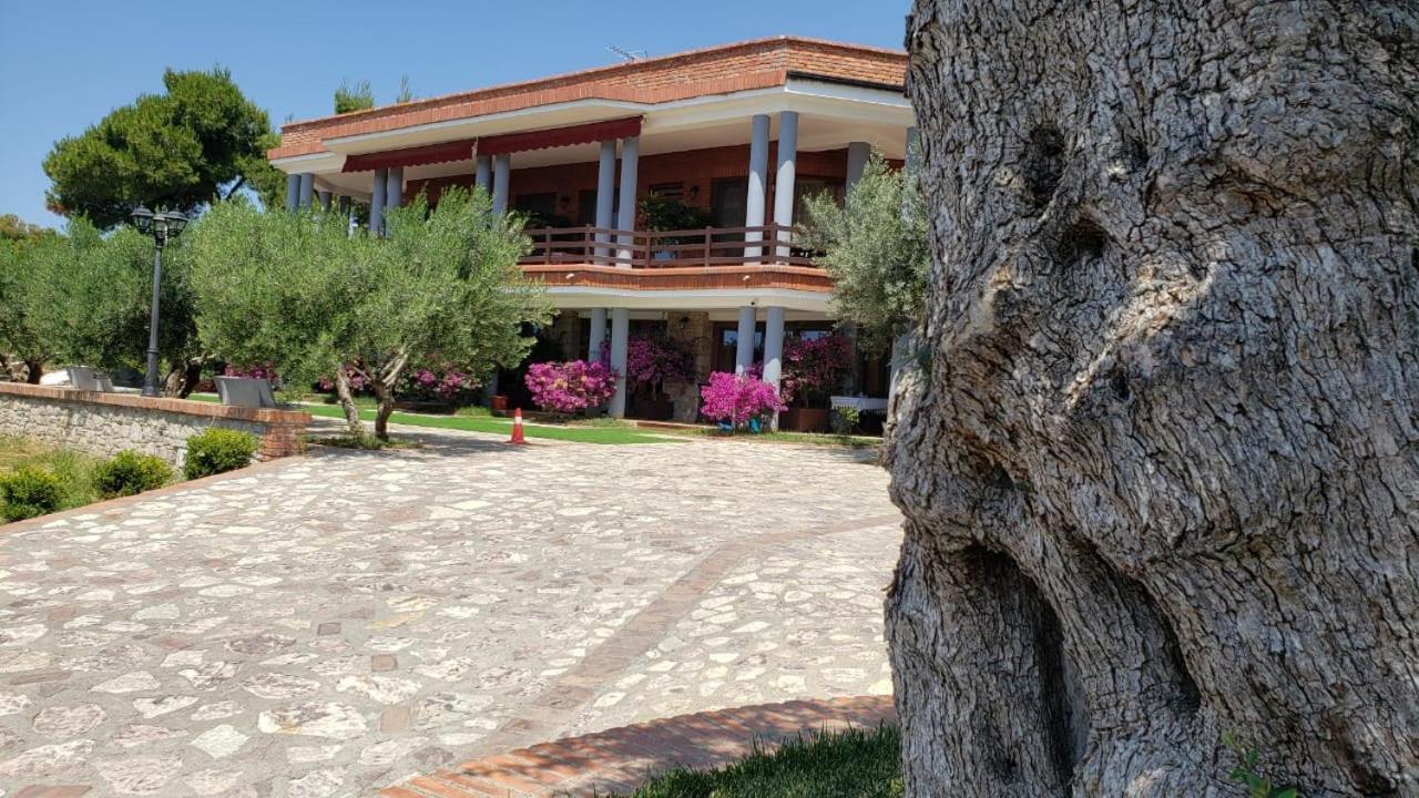 Hotel Brifs Shëngjin 外观 照片