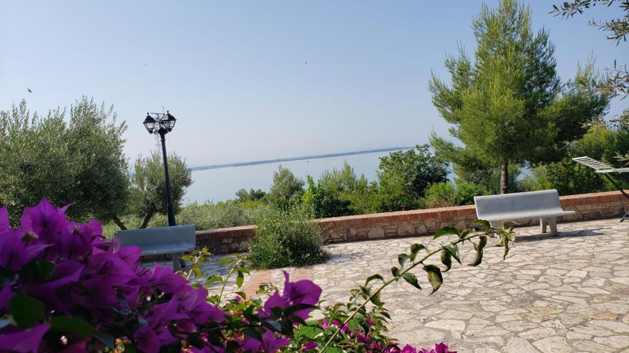 Hotel Brifs Shëngjin 外观 照片