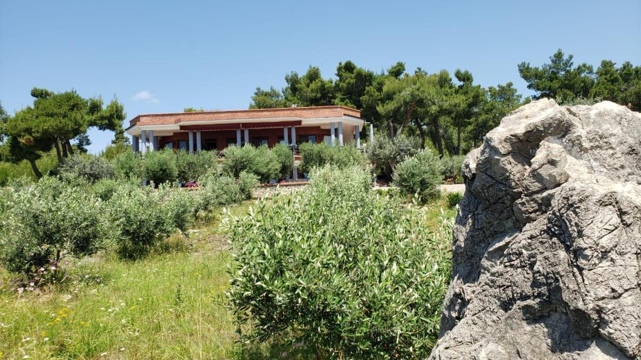 Hotel Brifs Shëngjin 外观 照片