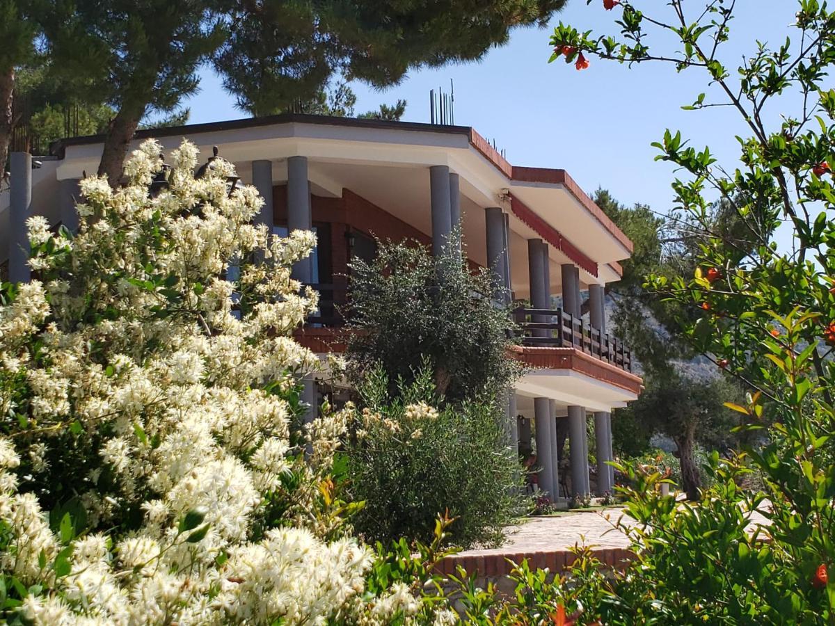 Hotel Brifs Shëngjin 外观 照片