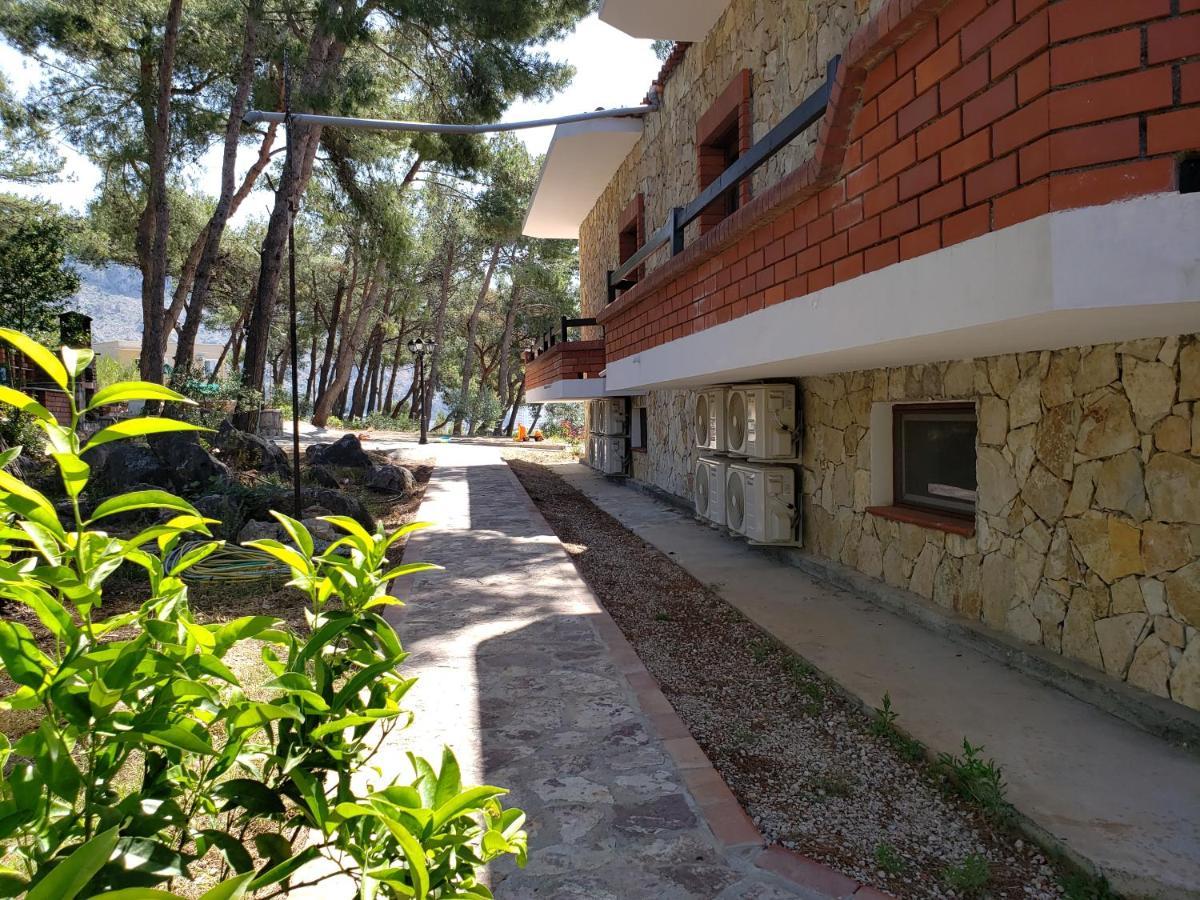 Hotel Brifs Shëngjin 外观 照片
